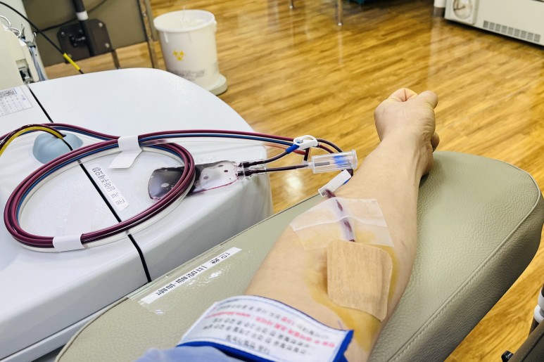 10월 23일 월요일 오후에 헌혈하기 위하여 강남역과 신논현역 사이에 있는 헌혈의 집 강남센터에 들렸다. 헌혈의 집 강남센터를 처음 개소하는 20여 년 전부터 다녔는데 무척이나 넓고 쾌적한 환경으로 헌혈자가 헌혈 전후 편안한 휴식을 함께 할 수 있다. 물론 간호사님들의 친절함도 최고이다.


혈소판혈장성분헌혈은 성분채혈기를 이용하여 혈소판과 혈장 성분을 채혈하고, 나머지 성분은 헌혈자에게 되돌려 주는 헌혈로 혈소판은 250mL 정도 채혈, 혈장은 300mL 정도 채혈한다.


암환자도 헌혈 가능?

인터넷에 보면 암진단 및 암수술을 받은 암환자의 경우 헌혈 가능 여부에 대한 질문이 종종 올라오지만 답변은 평생 불가능 하다고 한다. 정말 그럴까?

​
산삼이의 2번의 암진단과 암수술

산삼이가 오랫동안 정기적인 헌혈을 했는데 2012년 11월 14일에 296번째 헌혈을 하고 297회 헌혈 계획이 있었던 11월 30일의 건강검진에서 왼쪽의 신장암(신장내 신우암) 진단을 받아서 암수술시의 출혈 때문에 헌혈을 포기하고 12월 12일 왼쪽 신장 제거수술을 받았다.

​신우암 2기였으며 전이가 없고 신장을 제거했기에 항암치료 없이 정기검진만 받으면서 5년을 보냈다. 하지만 만 5년의 마지막 검사에서 방광에 암이 발생하였다. 다행이 방광근육을 침범하지 않은 비침습(표재성ㆍ비근침윤성) 방광암이기에 가벼운 수술과 그 다음날에 퇴원을 했다.

​당연히 초기라서 항암치료도 없이 5년 동안 정기검진만 받으면서 세월은 흘렀다.

​
암환자 평생 헌혈불가에서 가능으로 변경

암진단 및 암 수술 이후 10년 동안 헌혈을 할 수 없었기에 포기하고 있었다. 산삼이가 정기적으로 오랫동안 헌혈을 했기에 대한적십자사 혈액사업본부에 가까이 지내는 분들과 산삼이에게 보험을 가입한 고객분도 계시기에 헌혈은 못해도 종종 연락을 하며 지냈었다.

​지난 2월 중순에 혈액원 팀장님이 지방근무를 마치고 상경하여 내년 은퇴를 앞두고 있어 오랫만에 함께 식사를 하는 자리에서 암환자 헌혈부분에 대하여 제안을 했는데 팀장님 말씀이 작년 12월에 법이 개정이 되어 암환자도 헌혈을 할 수 있다고 했다.

​

암환자 헌혈 조건

다음날에 혈액사업본부에 전화하여 구체적으로 확인을 하니 암환자의 경우 5년이 경과된 후가 아니고 마지막 암 치료 후 5년이 지나면 헌혈이 가능하다고 한다. 

​산삼이가 2017년 12월 6일에  방광암 수술을 하고 치료 없이 5년 동안 정기검진을 받았으니 그 시기에 딱 맞추어서 법이 개정되어 있었다.
​

10년 만에 다시 헌혈

올해인 2023년 2월 28일에 예전 산삼이의 단골집(?)이었던 헌혈의 집 강남센터에서 10년 3개월만에 혈소판혈정헌혈로 다시 헌혈을 시작했다.


​300회째 헌혈

그 이후 꾸준하게 정기적으로 헌혈을 하여 지난 7월 17일에 공식적으로 300회째 헌혈을 했다.  앞으로 10년 정도 더 헌혈이 가능한데 건강에 특별한 이상이 없는한 그때까지 산삼이는 정기적으로 헌혈을 할 예정이다. 

​
심각한 혈액부족

산삼이가 고등학교 때 어머님의 수술 때문에 수혈의 중요성을 알면서 헌혈의 필요성을 느껴서 꾸준하게 정기적으로 헌혈을 하게 되었는데 그때나 지금이나 우리나라 수혈용 혈액부족은 똑같은 것 같다. 

​지난 1975년에 세계보건기구(WHO)와 국제적십자연맹(IFRC)은 "자국민에 의한 혈액자급 원칙", "혈액의 상업성 이용배제 원칙"을 만들고 이를 모든 나라에 권고했다.

​하지만 우리나라는 계속적인 헌혈자 부족으로 의약품 제조용에 필요한 혈액은 헌혈로는 충당되지 않아 상당 부분을 수입에 의존하고 있다.

​그러다보니 수혈이 계속 필요한 백혈병 환자나 암수술을 앞두고 있는 환자들에게 엄청난 부담으로 다가온다.

​
헌혈 누구를 위한 것일까?

헌혈은 남을 위한 사랑이라 하는데 절대 그렇지 않다. 헌혈은 헌혈자 자신을 위한 사랑이다. 헌혈자도 언제든지 질병이나 사고로 인하여 수혈이 필요할 때가 있을텐데 헌혈자 부족으로 수혈할 혈액이 없다면 그냥 죽어야 한다.

​그렇듯이 헌혈은 남을 위한 것이 아니고 내 자신과 사랑하는 가족들을 위한 것이기에 주저하지 않아야 하고, 또한 이왕이면 정기적으로 꾸준하게 해야 한다.

헌혈을 꾸준하게 정기적으로 하면 그 자체가 건강관리이기도 하다. 정기적인 헌혈시 ABO Friends(등록헌혈회원) 가입을 권유한다. 아래는 산삼이의 가입정보이다.

​
암환자 헌혈 가능한 법 개정에 대한 소감

산삼이가 그동안 암환자의 경우 완치판정을 받으면 다시 헌혈이 가능할 수 있도록 규정 변경을 여러번 건의를 했었다.

​시간이 갈수록 암발병율이 높아지고 또한 의학기술이 발전하면서 암 완치율도 높아졌다. 산삼이도 암 수술을 2번이나 했지만 요즘은 암 진단이 옛날처럼 죽음의 선고가 아니다. 또한 정기적인 검진과 의료기기의 발전으로 초기 암 발견율도 높다.

수 많은 사람들이 암 진단을 받았고 앞으로도 암 진단을 받게 될텐데 헌혈할 수 없도록 묶어 놓는다면 그렇잖아도 부족한 혈액의 자급자족에 치명적일 것이다.

이러한 시점에서 암환자의 마지막 치료 5년 무사경과 후 헌혈을 다시 할 수 있도록 법을 개정한 것은 환영할만한 것이다.


https://blog.naver.com/3jeong/223248600368

​