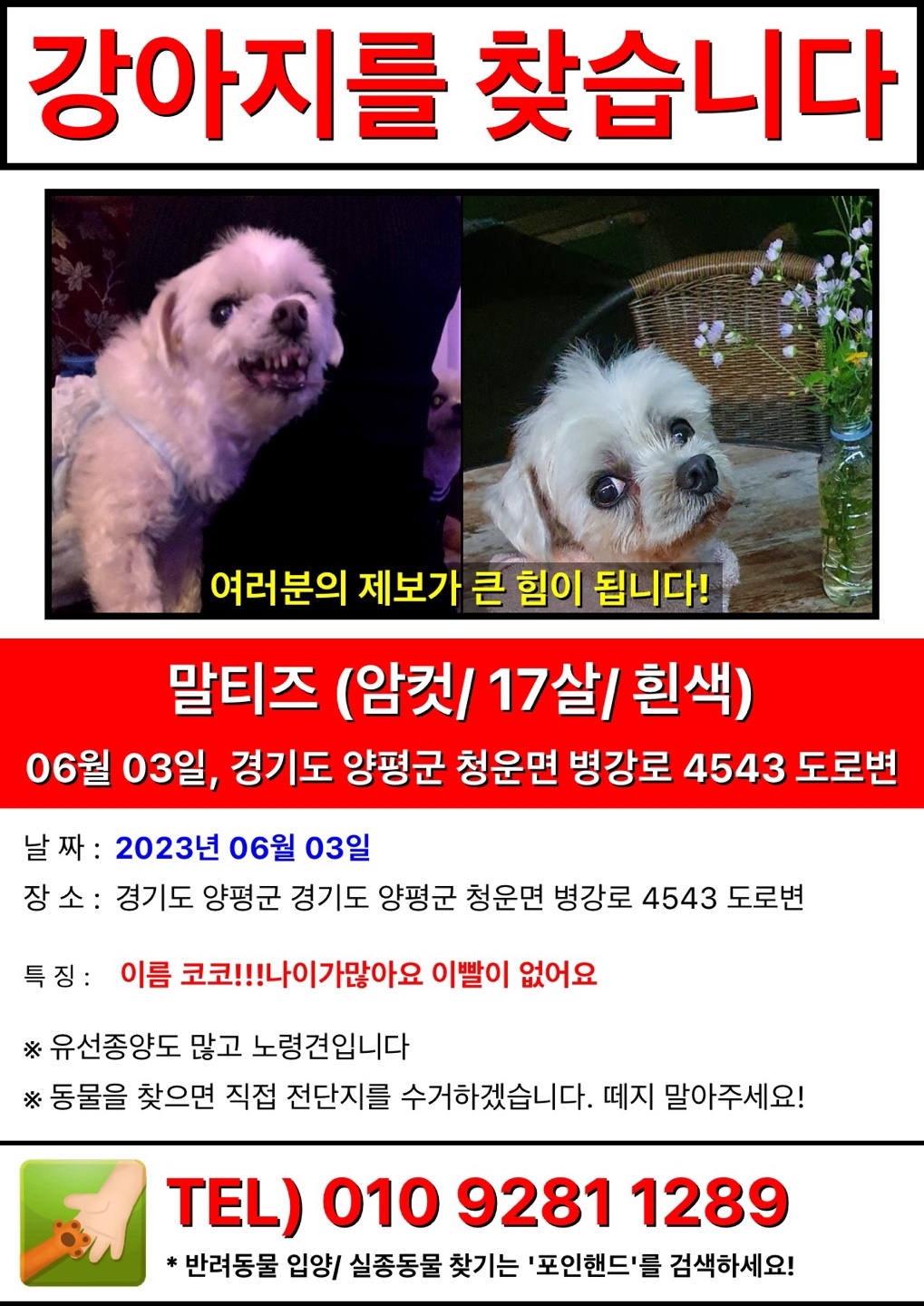 지인 반려견인데..  어떤분이 유기견인줄 아셨는지..  차에 태워 데려가셨어요... 소중하게 키운 너무나 예쁘고 소중한 아이입니다... 
혹시 지역이 가까우시거나 어디서 주인 찾는 글 보신분이 계시다면 말씀 부탁드립니다ㅠㅠ  