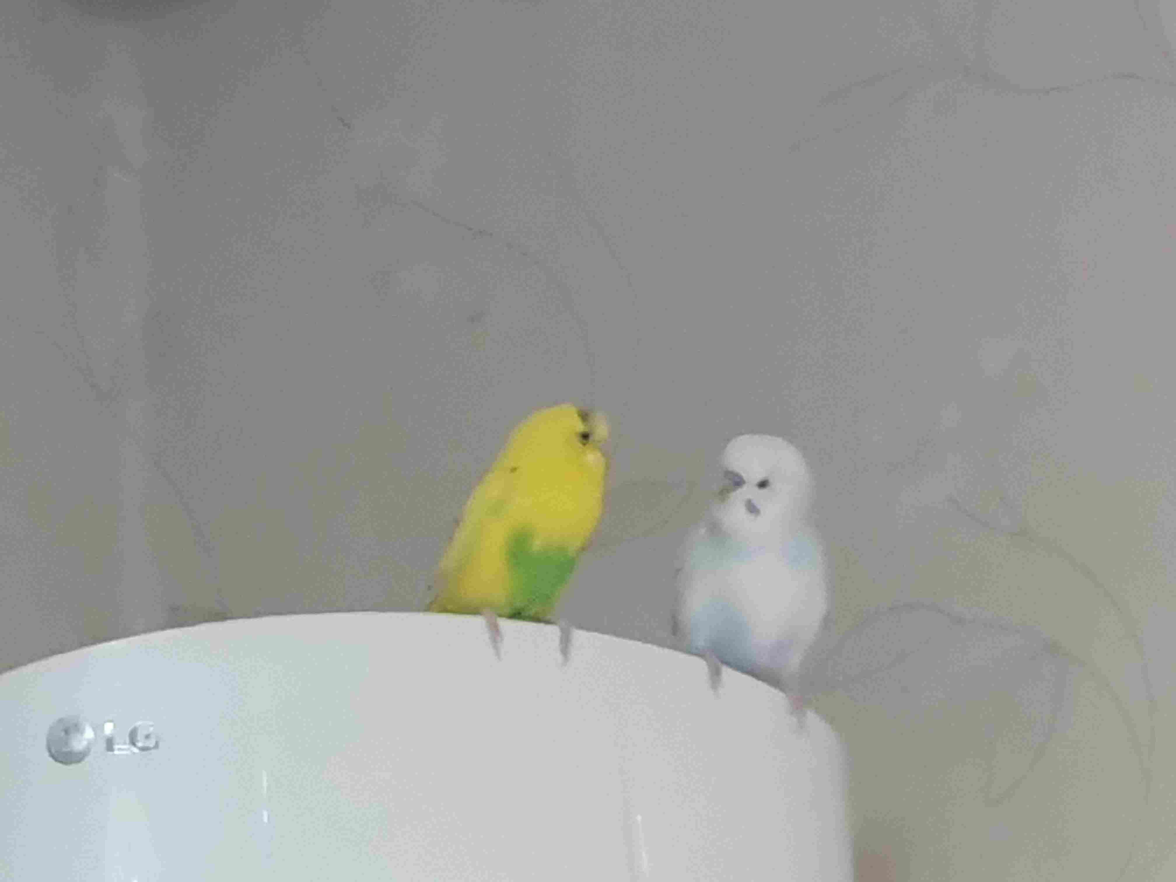 프로필이미지