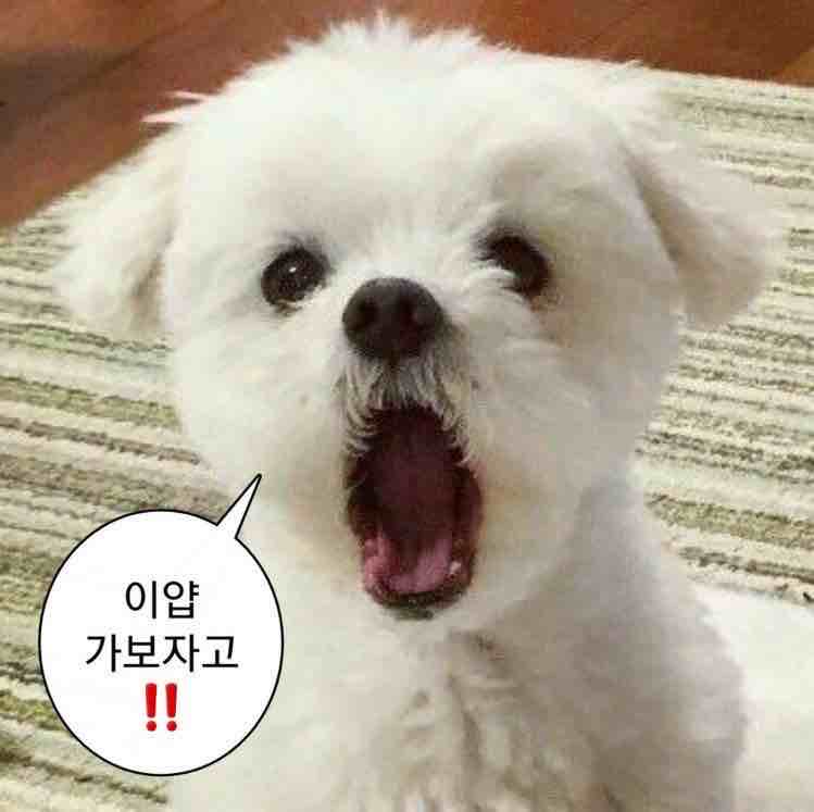 프로필